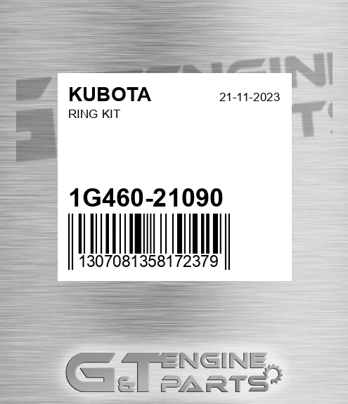 1G460-21090 Ring Kit
