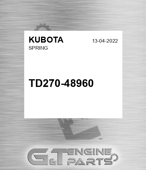 TD270-48960 Spring for KUBOTA