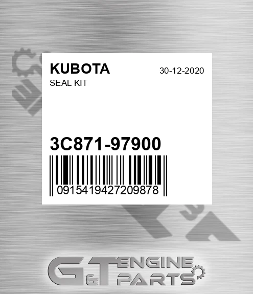 3C871-97900 Seal Kit