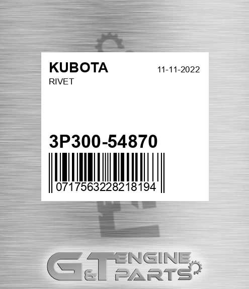 3P300-54870 Rivet