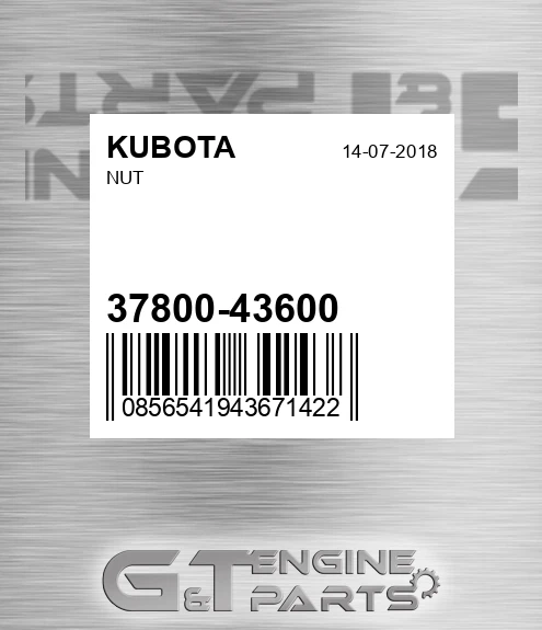 37800-43600 Nut