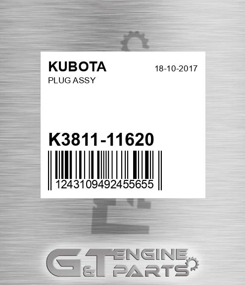 K3811-11620 Plug Assy