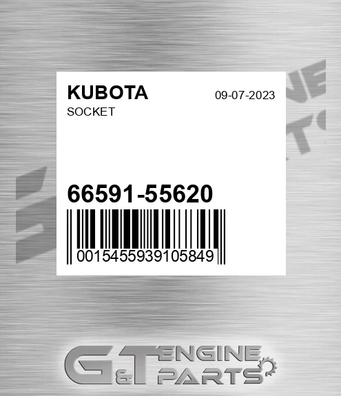66591-55620 Socket