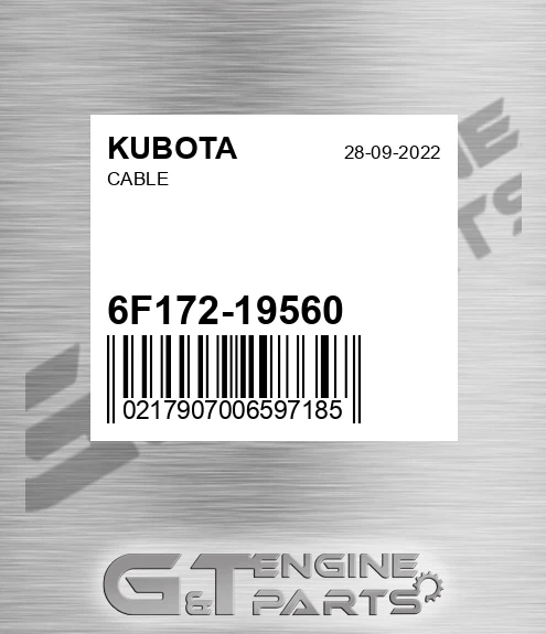 6F172-19560 Cable