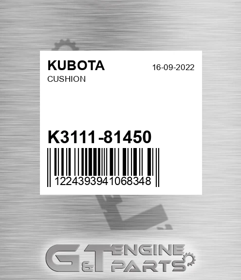 K3111-81450 Cushion