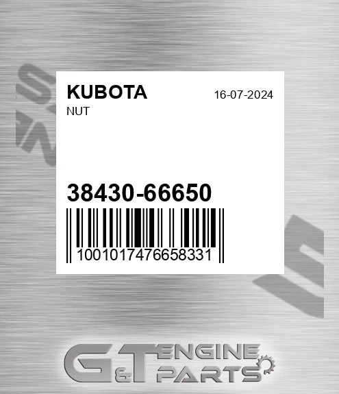 38430-66650 Nut