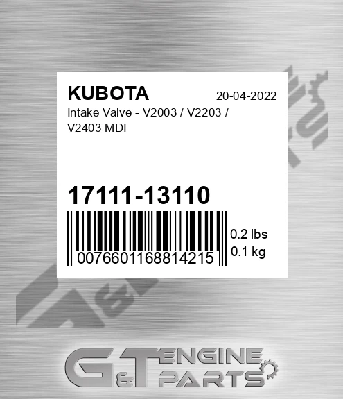 17111-13110 Intake Valve - V2003 / V2203 / V2403 Mdi for KUBOTA