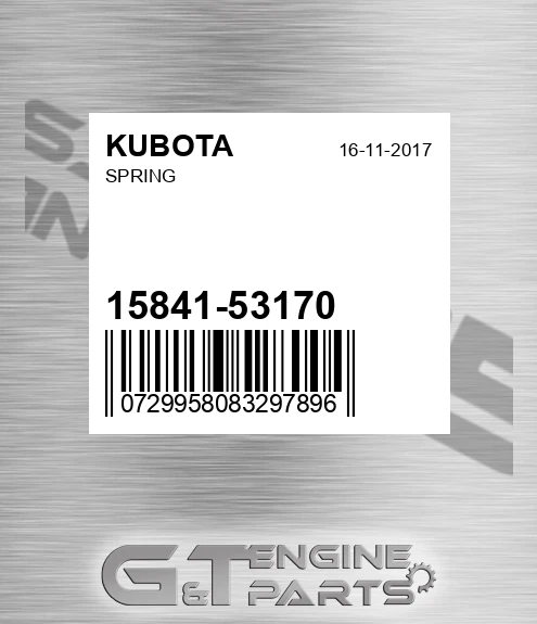 15841-53170 Spring