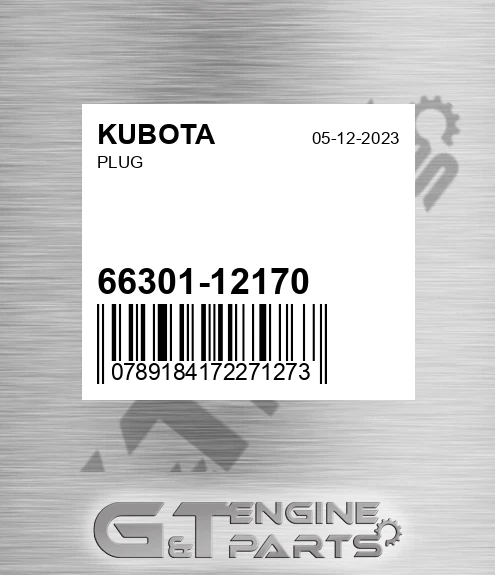 66301-12170 Plug