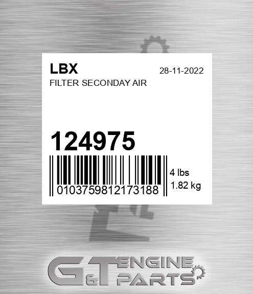 124975 Filter Seconday Air