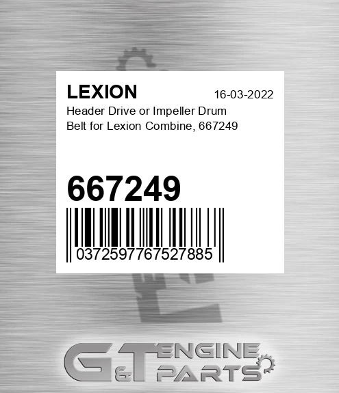 667249 LEXION Header Drive Or Impeller Drum Belt For Lexion Combine,
