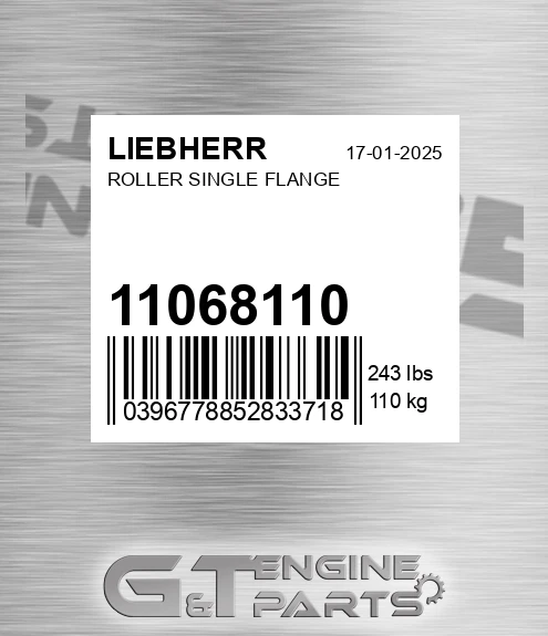 11068110 Roller Single Flange