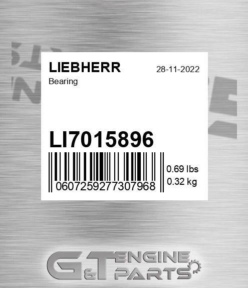 LI7015896 Bearing
