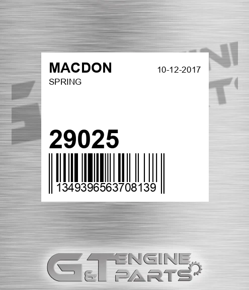 29025 Spring
