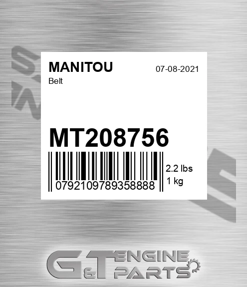 MT208756 Belt