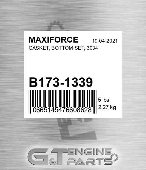 B173-1339 Gasket, Bottom Set, 3034 for MAXIFORCE