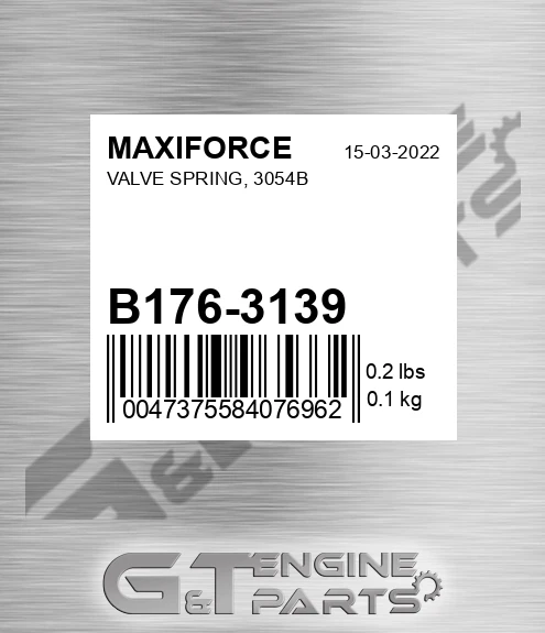 B176-3139 Valve Spring, 3054b for MAXIFORCE