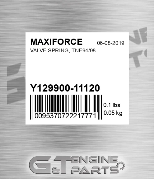 Y129900-11120 Valve Spring, Tne94/98 for MAXIFORCE