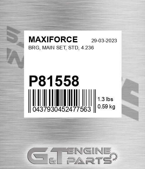 P81558 Brg, Main Set, Std, 4.236 for MAXIFORCE