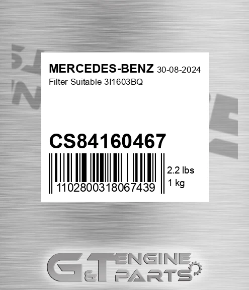 CS84160467 Filter Suitable 3i1603bq