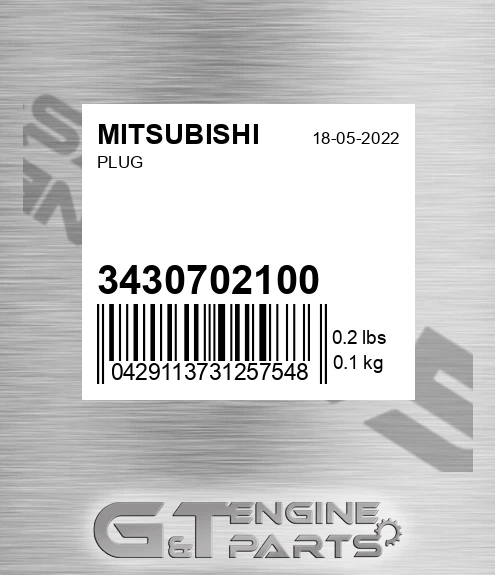34307-02100 Plug