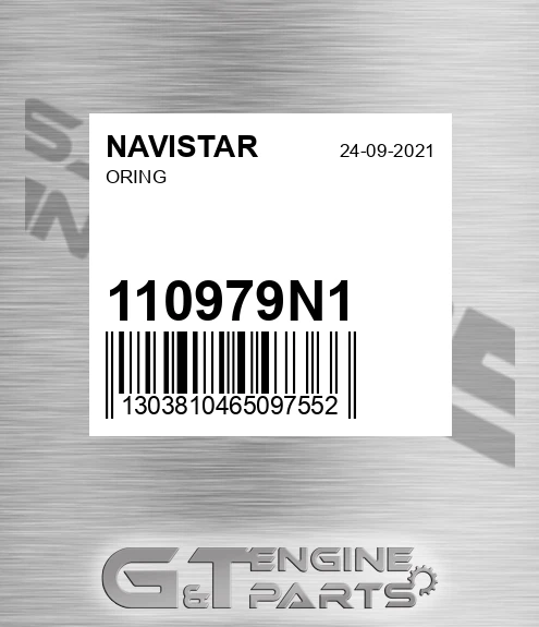110979N1 Oring
