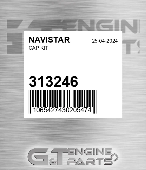 313246 Cap Kit