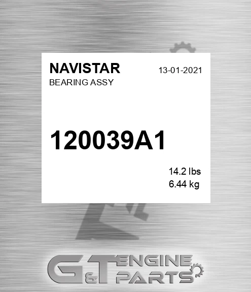 120039A1 Bearing Assy