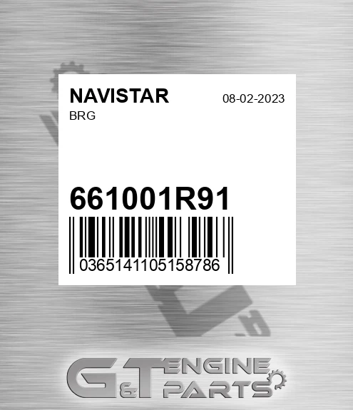661001R91 Brg