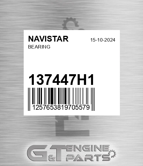 137447H1 Bearing