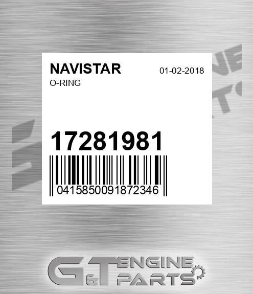 17281981 O-ring