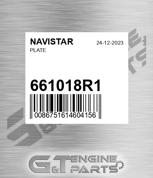661018R1 Plate