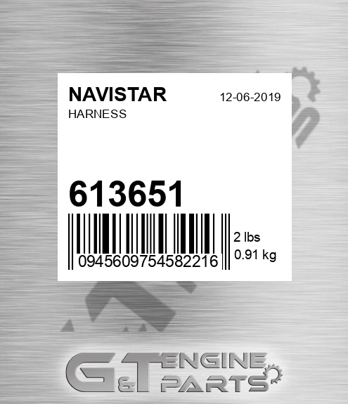 613651 NAVISTAR Harness
