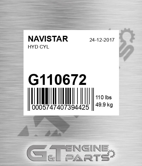 G110672 Hyd Cyl