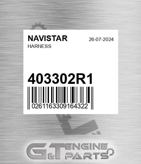 403302R1 Harness