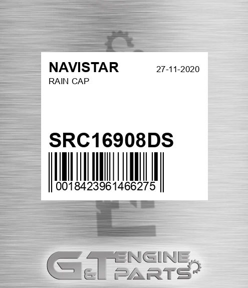 SRC16908DS Rain Cap