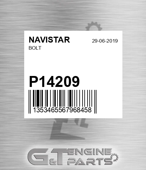 P14209 Bolt