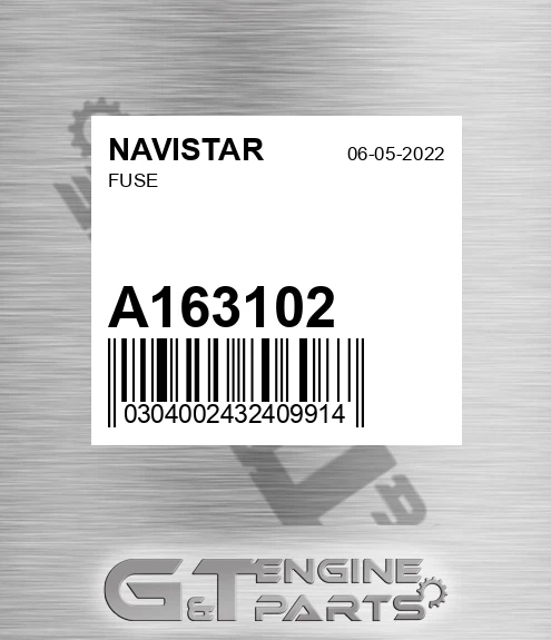 A163102 Fuse