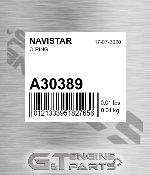 A30389 NAVISTAR O-ring