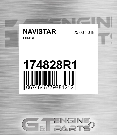 174828R1 Hinge
