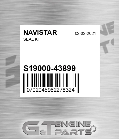 S19000-43899 Seal Kit