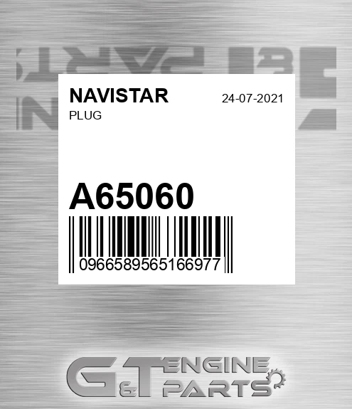 A65060 Plug