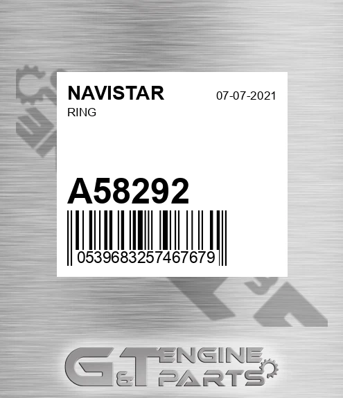 A58292 Ring