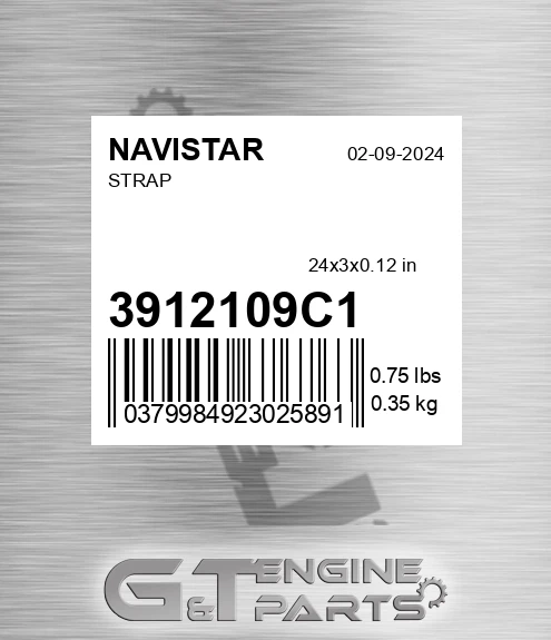 3912109C1 Strap