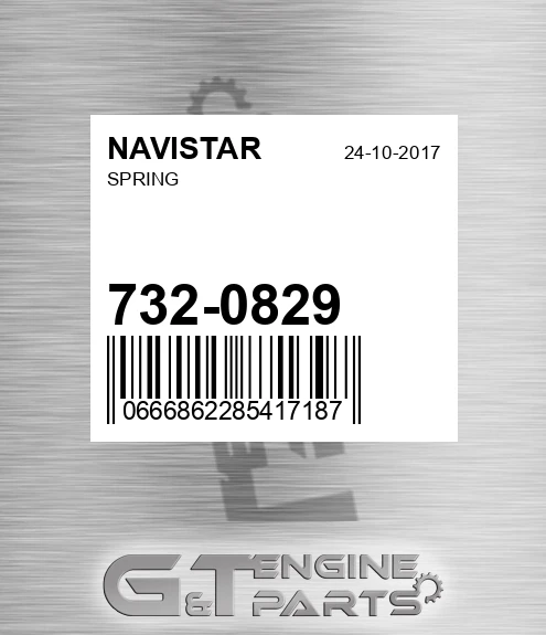 732-0829 Spring