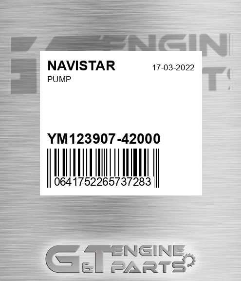 YM123907-42000 Pump