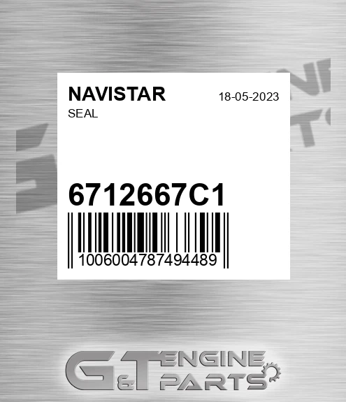 6712667C1 Seal