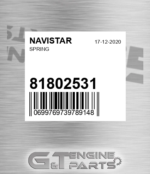 81802531 Spring