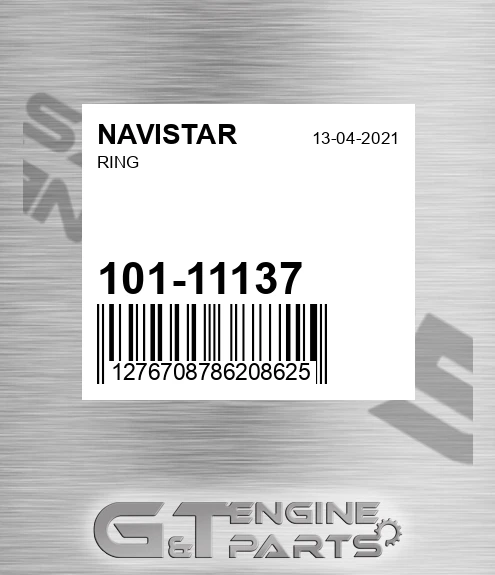101-11137 Ring