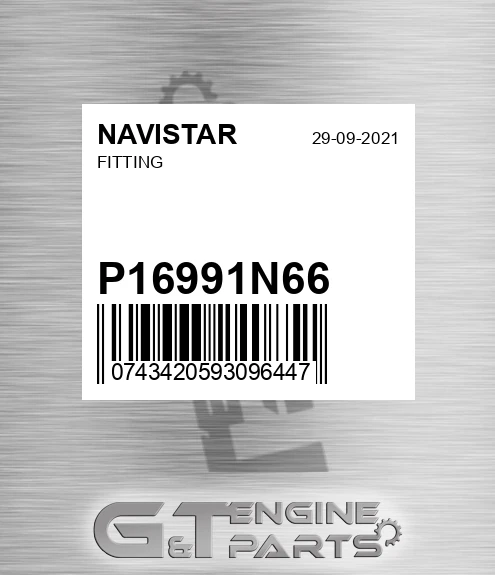 P16991N-6-6 Fitting